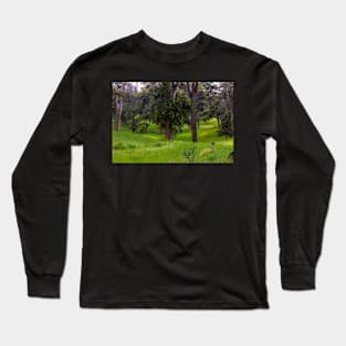 A Magical Place on the Big Island Long Sleeve T-Shirt